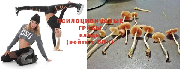 соль курить ск Волосово
