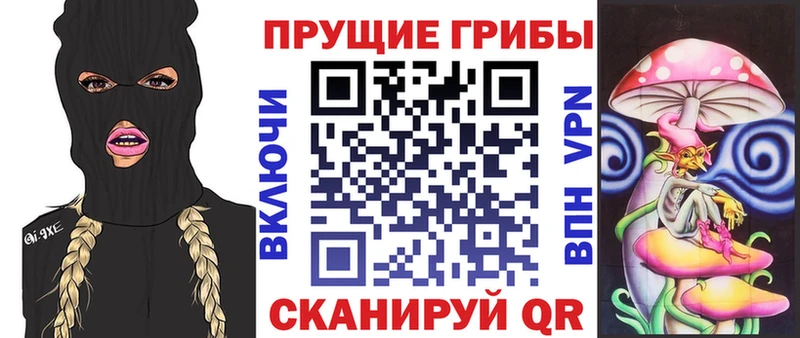 Псилоцибиновые грибы Psilocybine cubensis  Кизилюрт 