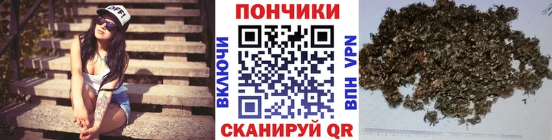 Бошки марихуана индика  мега маркетплейс  Кизилюрт 